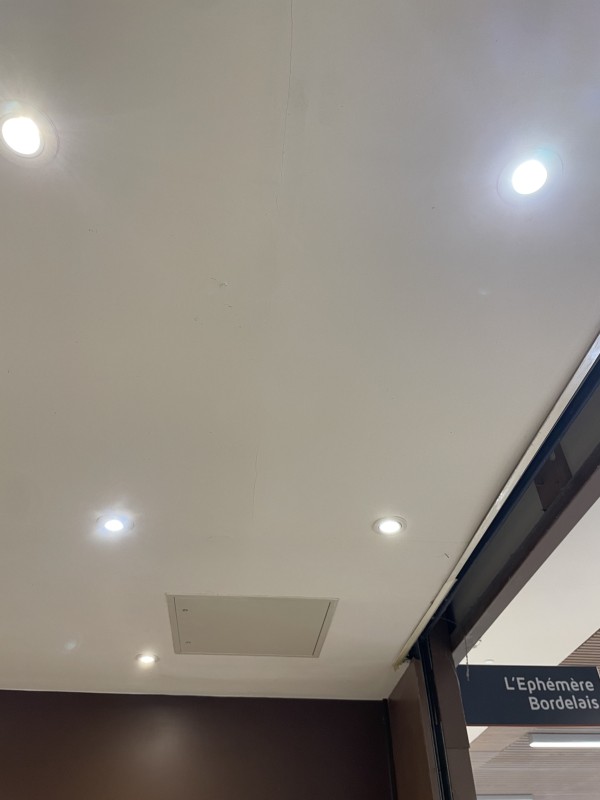 remplacement de spots dans une boulangerie à Bordeaux lac proche bassens 