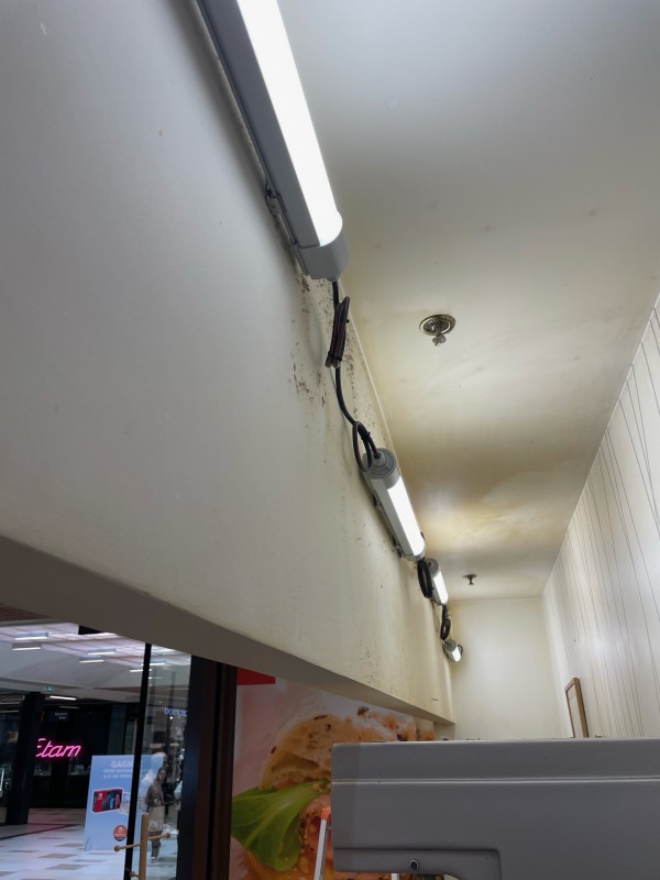 pose d éclairage magasin à begles 