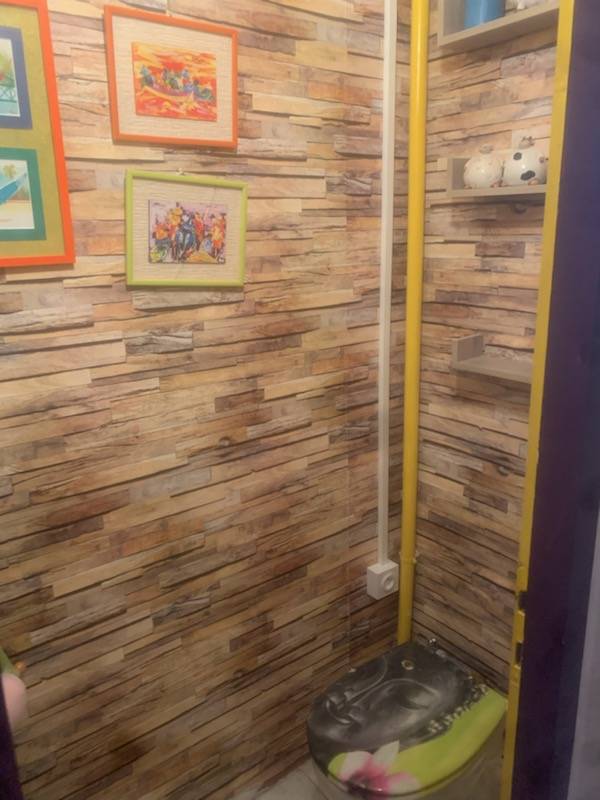 Création alimentation spécialisée pour sanibroyeur à Bordeaux