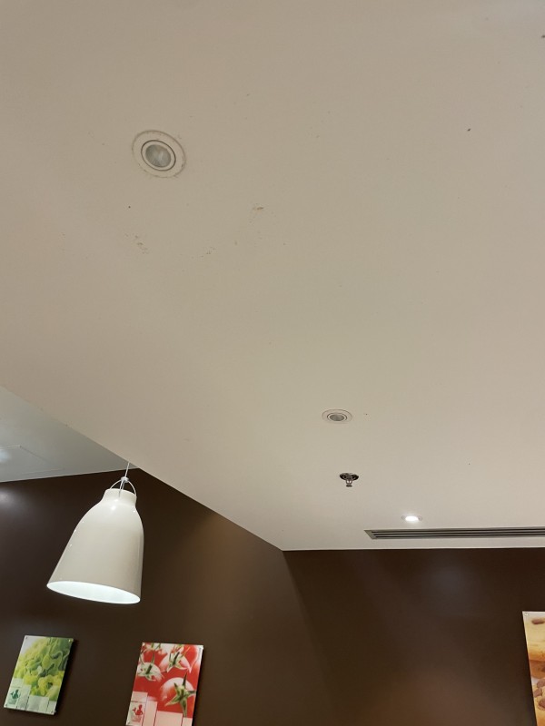 remplacement de spots dans une boulangerie à Bordeaux lac proche bassens 